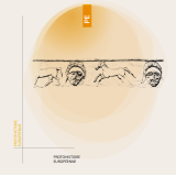 Protohistoire européenne